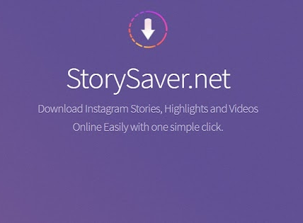 Story Saver Net