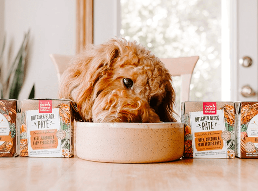 Honest Kitchen Dog Food