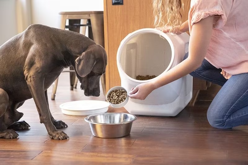 Dog Food Container